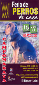 Cartel Feria de perros